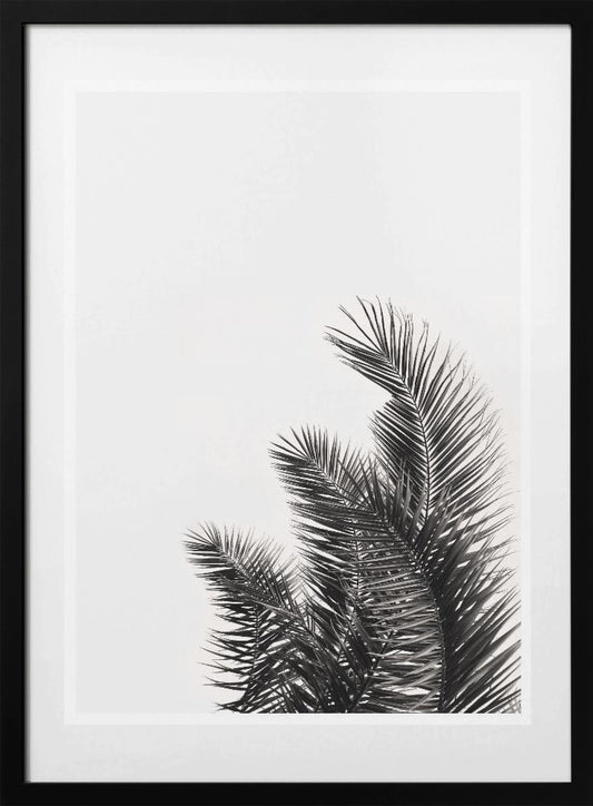 Palm Whisper - Art Print by THE MIUUS STUDIO