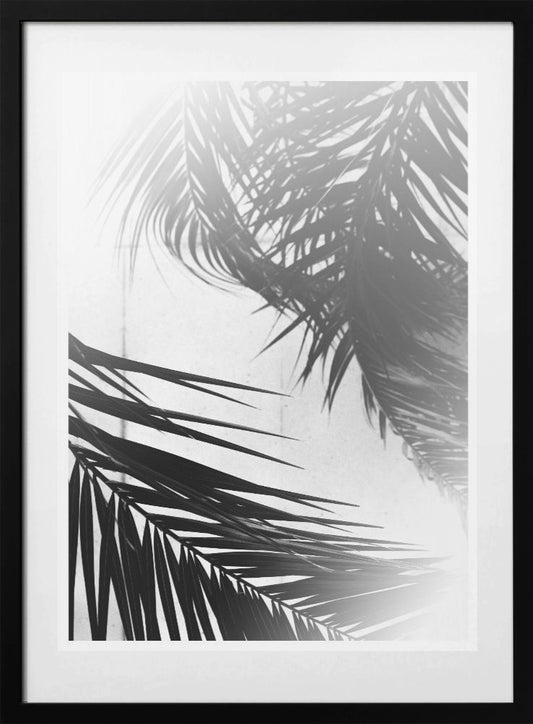 Palm Silhouettes - Art Print by THE MIUUS STUDIO