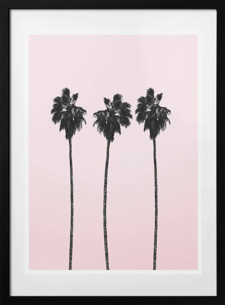 Three Tall Palms - Art Print by THE MIUUS STUDIO