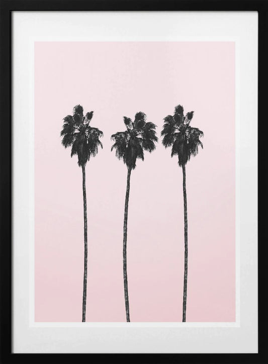 Three Tall Palms - Art Print by THE MIUUS STUDIO