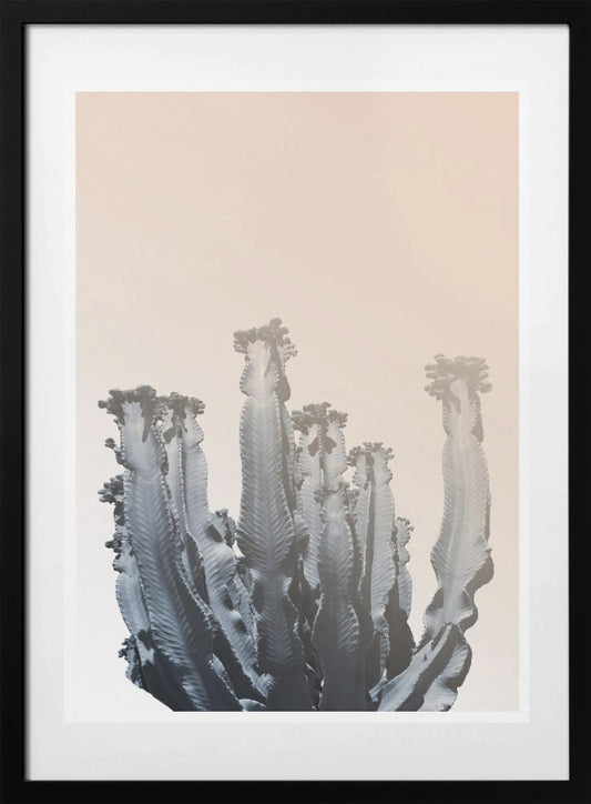 Cactus Silhouettes - Art Print by THE MIUUS STUDIO