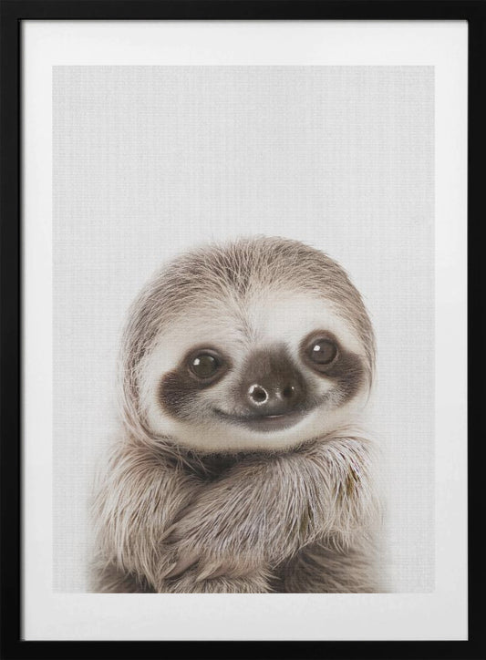 Peekaboo Baby Sloth - Art Print by Lola Peacock