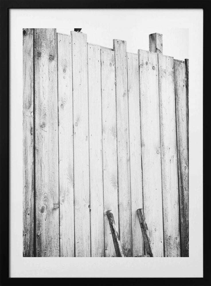 Freed - Art Print by Jürgen Hartlieb