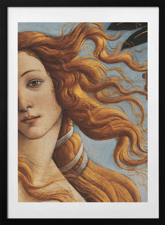 The Birth of Venus by Sandro Botticelli - Art Print by The Art Concept