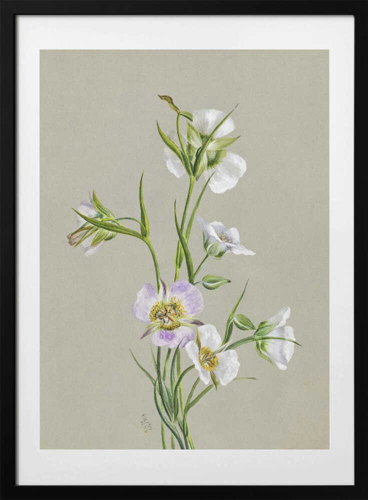 On the Road To Monument (1881) - Art Print by Mary Vaux Walcott