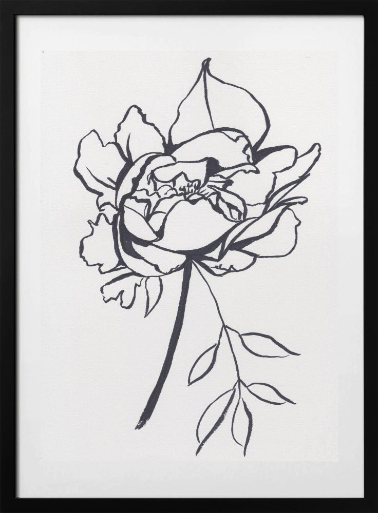 Black and White Peony Small - Art Print by Christine Lindstrom