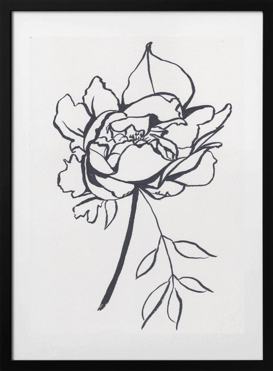Black and White Peony Small - Art Print by Christine Lindstrom