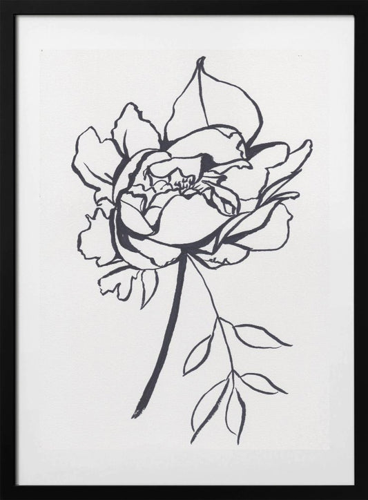 Black and White Peony - Art Print by Christine Lindstrom