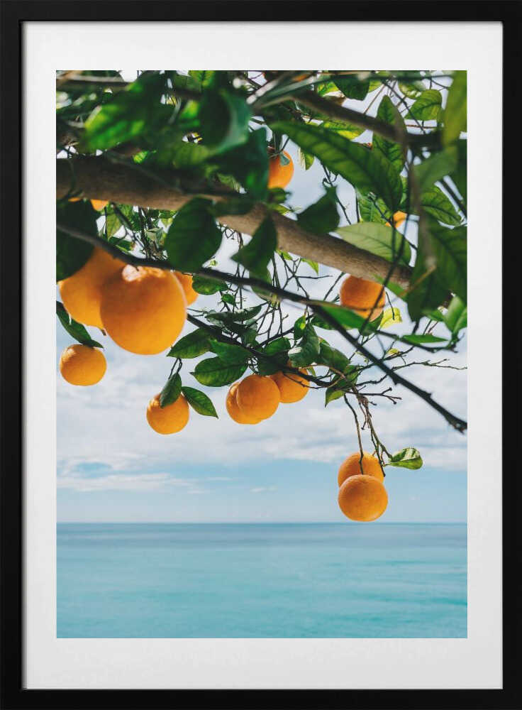 Amalfi Coast Oranges IV - Art Print by Bethany Young