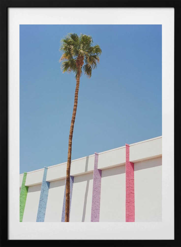 Palm Springs II - Art Print by Bethany Young