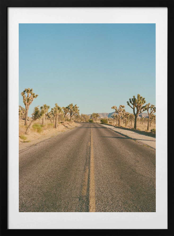 Joshua Tree Road II - Art Print by Bethany Young