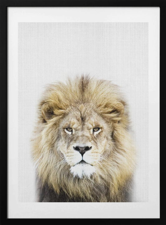 Peekaboo Lion - Art Print by Lola Peacock