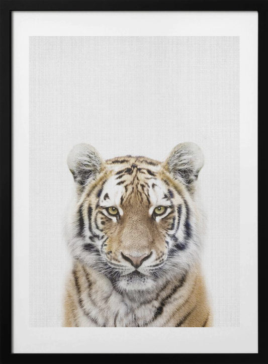 Peekaboo Tiger - Art Print by Lola Peacock
