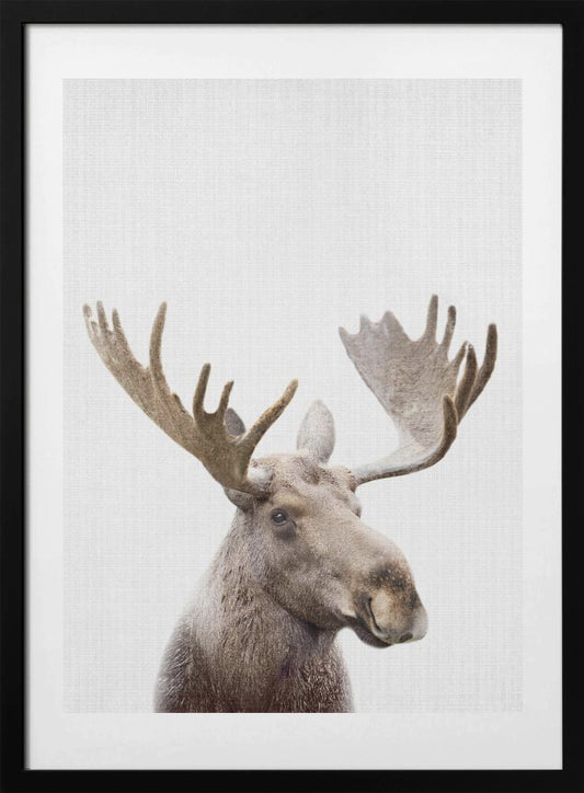 Peekaboo Moose - Art Print by Lola Peacock