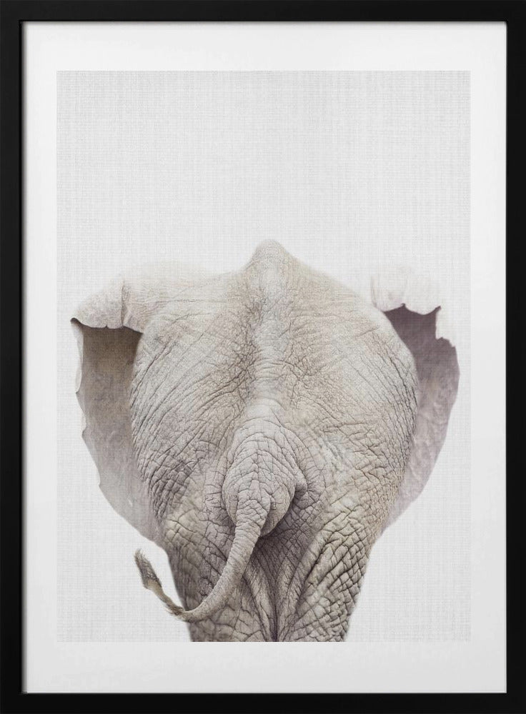 Peekaboo Elephant Tail - Art Print by Lola Peacock
