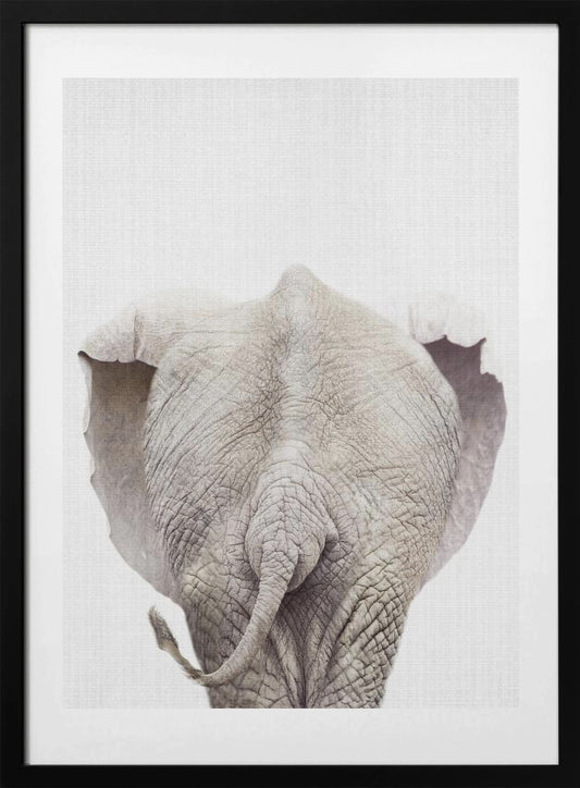 Peekaboo Elephant Tail - Art Print by Lola Peacock