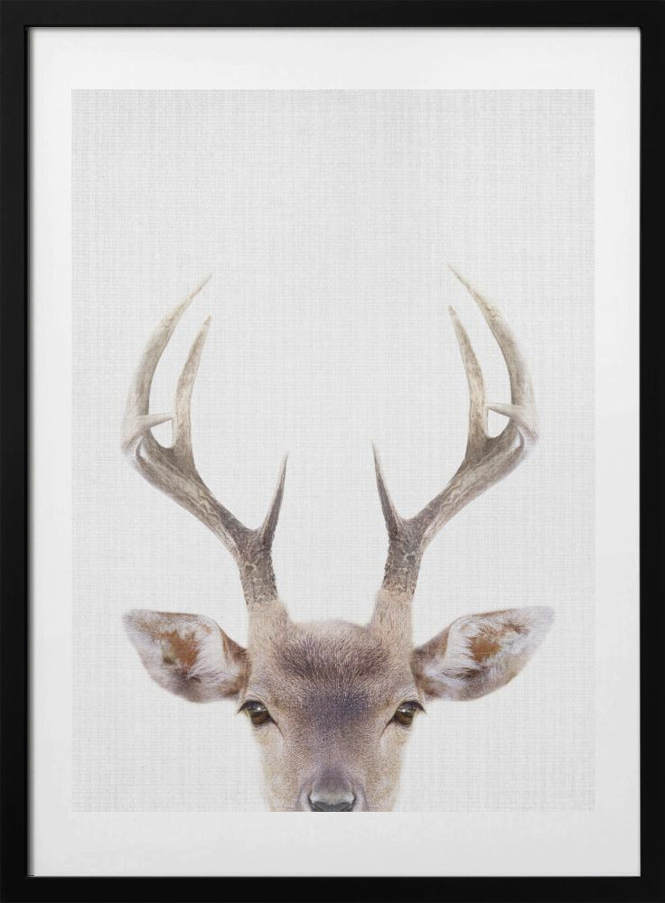 Peekaboo Deer - Art Print by Lola Peacock