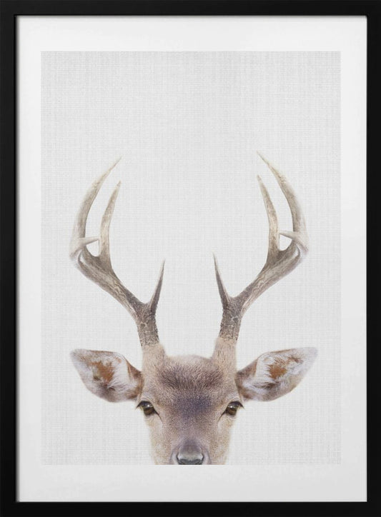 Peekaboo Deer - Art Print by Lola Peacock