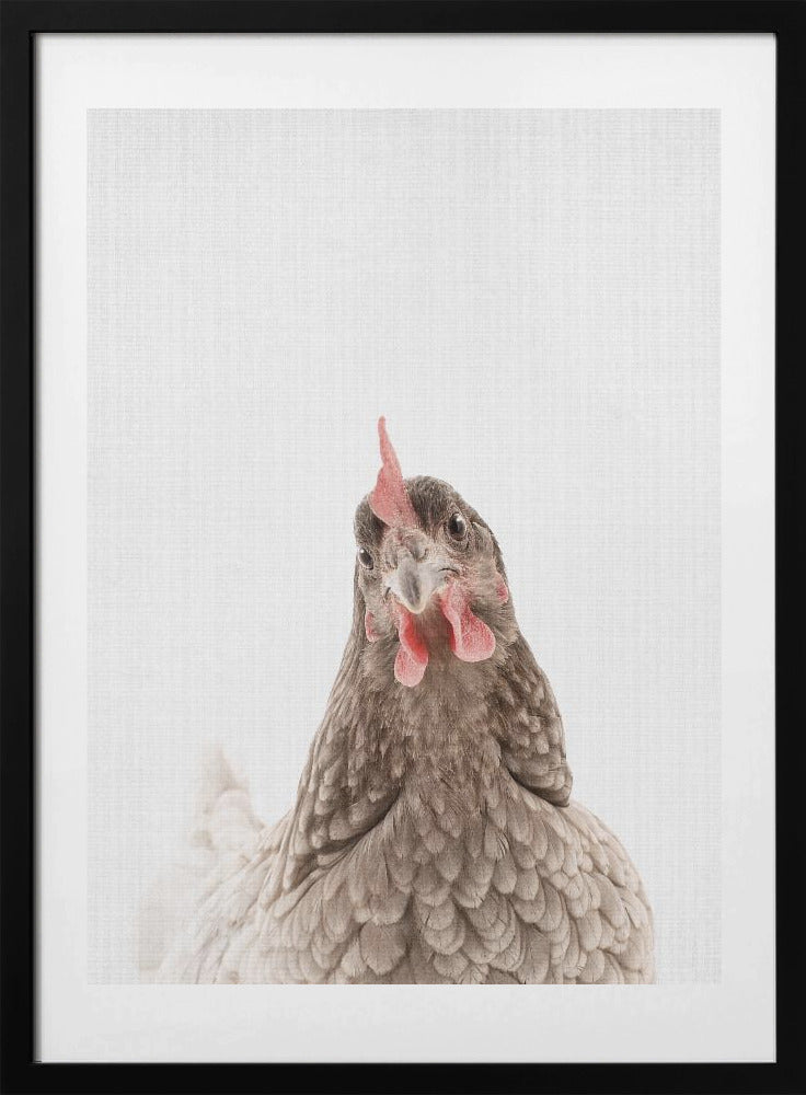 Peekaboo Chook - Art Print by Lola Peacock