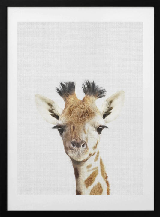 Peekaboo Giraffe - Art Print by Lola Peacock