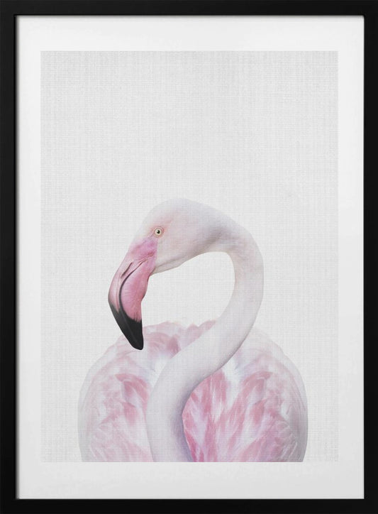 Peekaboo Flamingo - Art Print by Lola Peacock