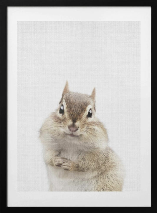 Peekaboo Chipmunk - Art Print by Lola Peacock