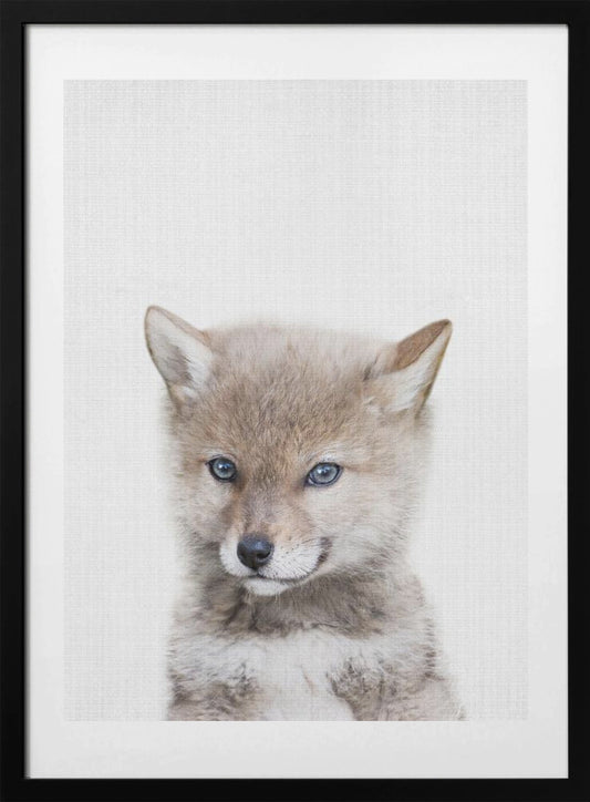 Coyote - Art Print by Lola Peacock