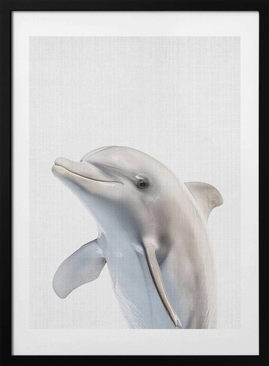 Peekaboo Dolphin - Art Print by Lola Peacock