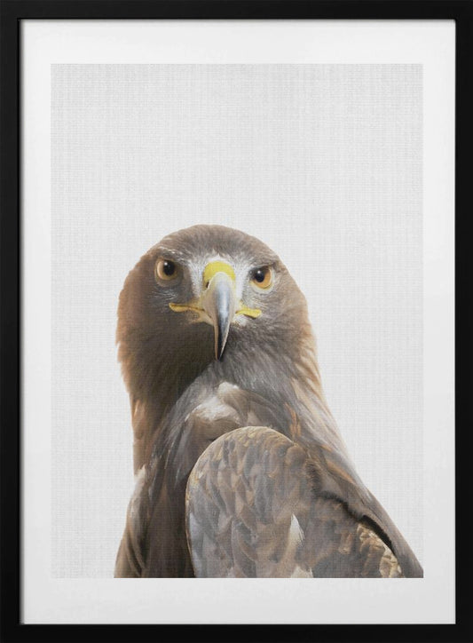 Peekaboo Golden Eagle - Art Print by Lola Peacock