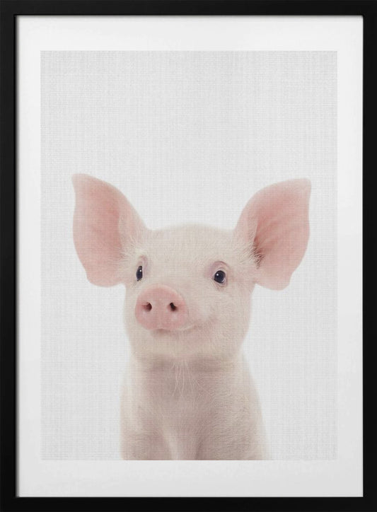 Peekaboo Baby Pig - Art Print by Lola Peacock