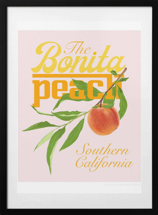 Pandcbonitapeach Copy - Art Print by Jenny Liz Rome