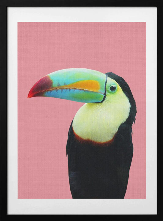 Toucan - Art Print by Lola Peacock