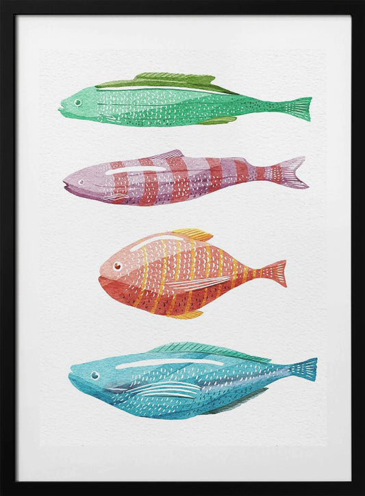 Four Colorful Fish - Art Print by Katie O'Shea