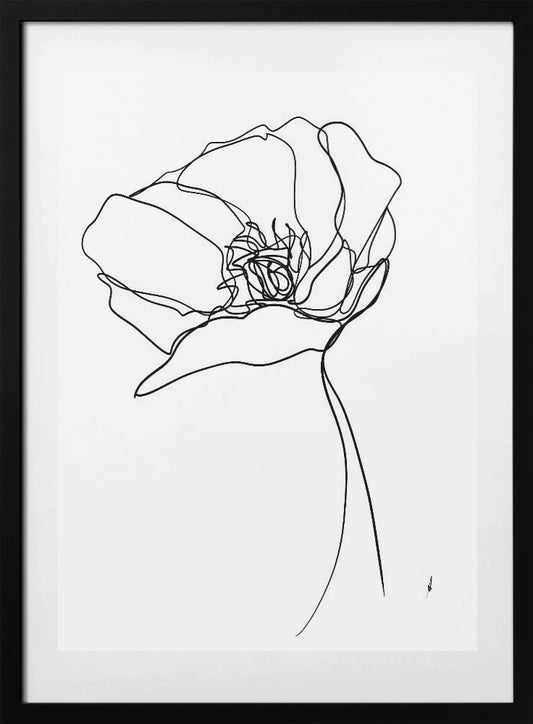 Poppy in One Line - Art Print by Ankie Kooi