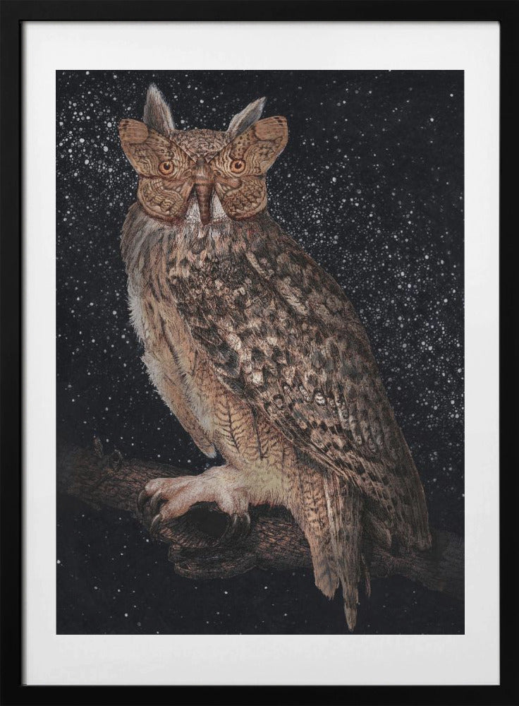 Camouflage and Stars Colour - Art Print by EC Mazur