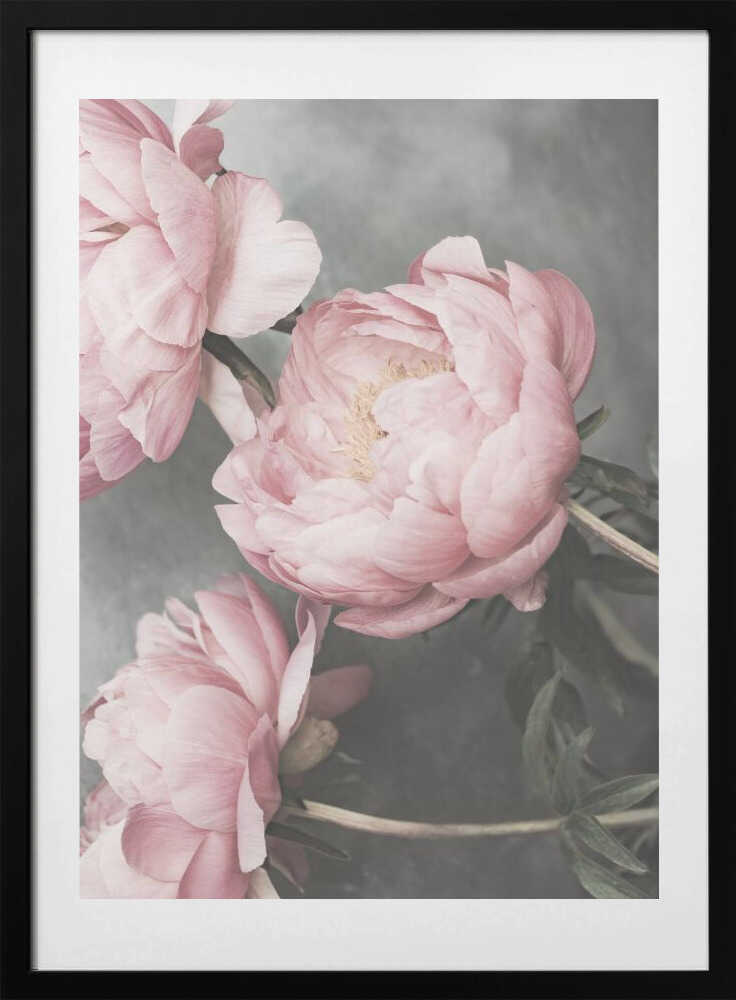 01643 - Art Print by Kathrin Pienaar