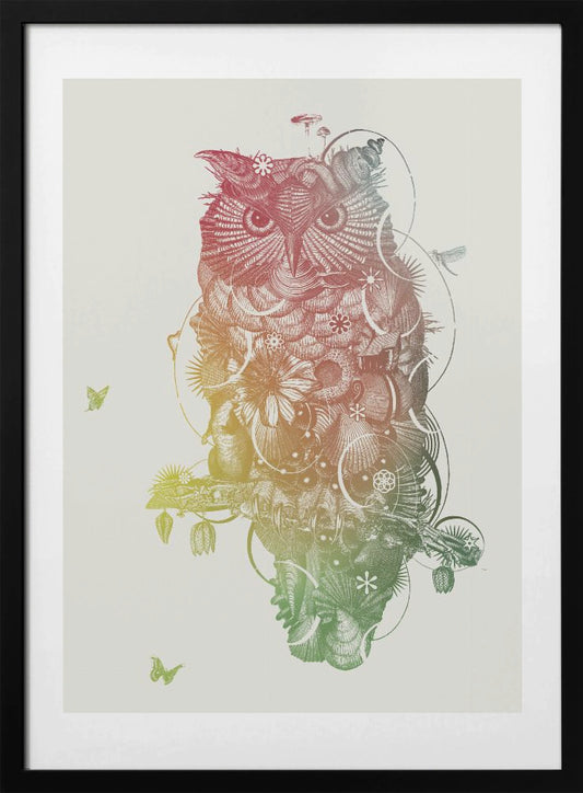 Owl - Art Print by Jaco Putker