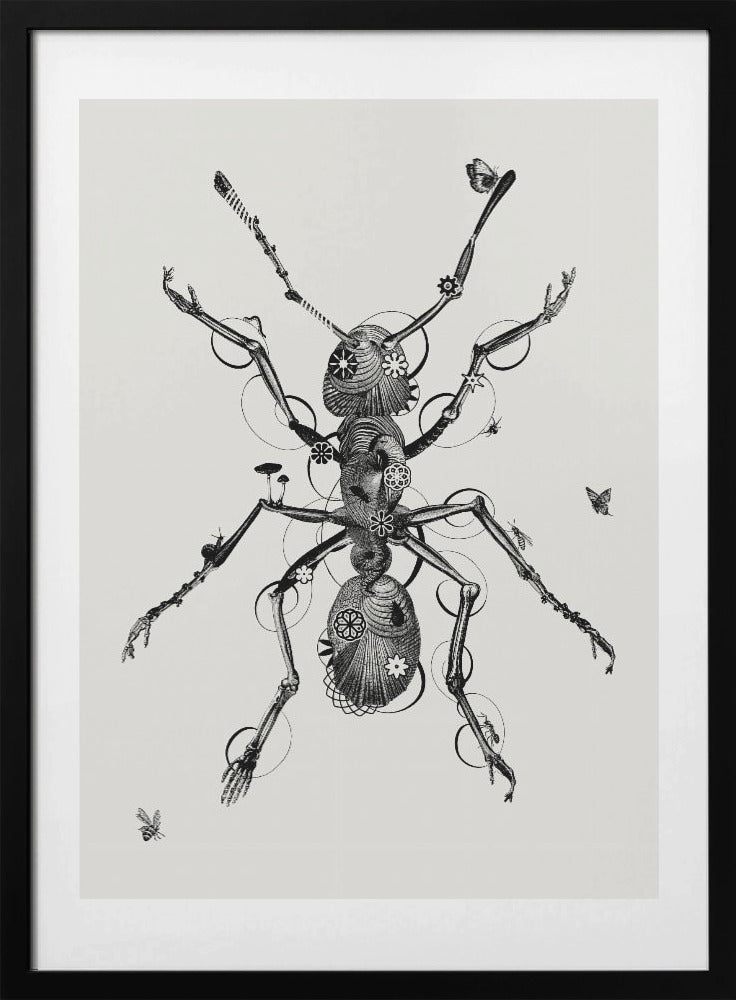 Ant - Art Print by Jaco Putker