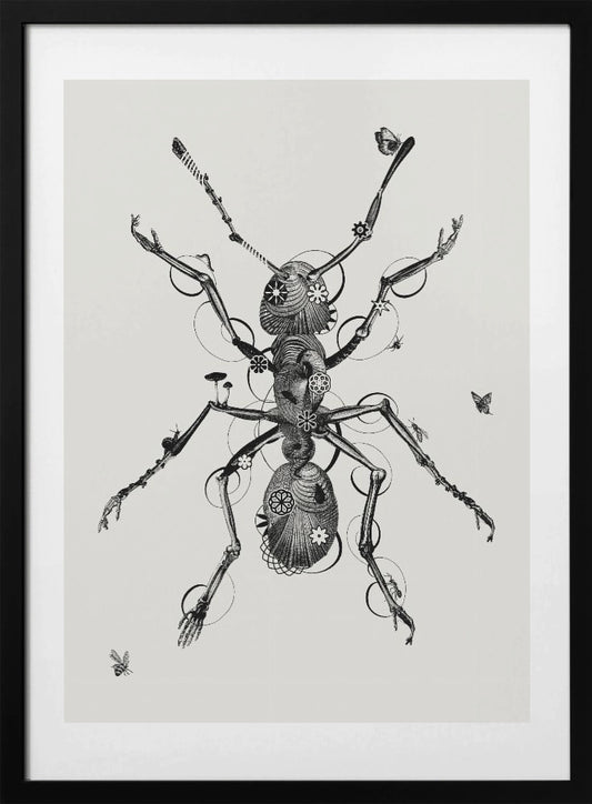 Ant - Art Print by Jaco Putker