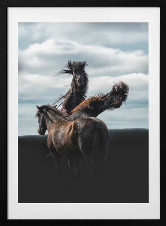 Three Horses - Art Print by Aidong Ning