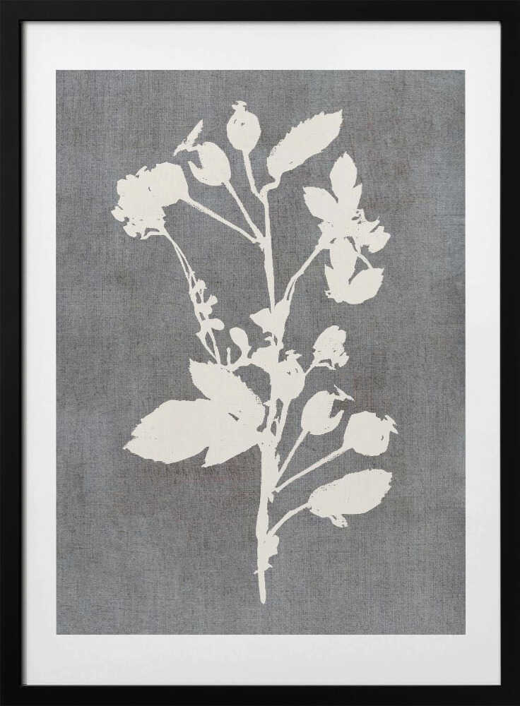 Botanical Rose Silhouette - Art Print by cartissi