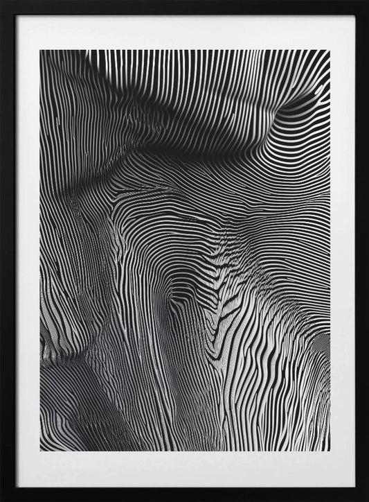 Zebra Flowform - Art Print by Minorstep