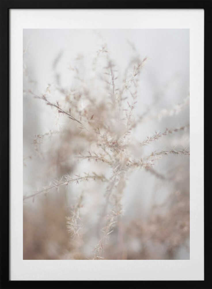 Textured Tendrils - Art Print by Christina Sillen