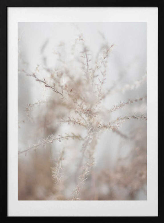 Textured Tendrils - Art Print by Christina Sillen