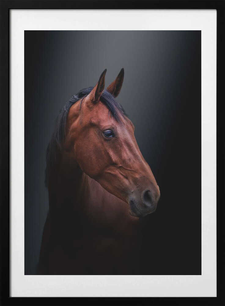 Brown beauty - Art Print by Gert J ter Horst