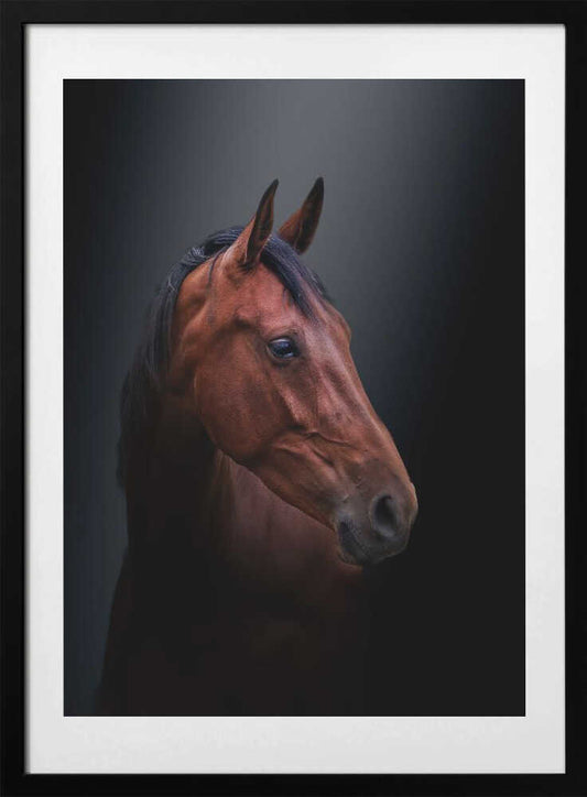 Brown beauty - Art Print by Gert J ter Horst