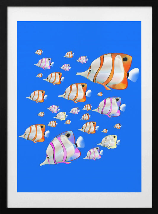 Angel Fish - Art Print by Nicholas