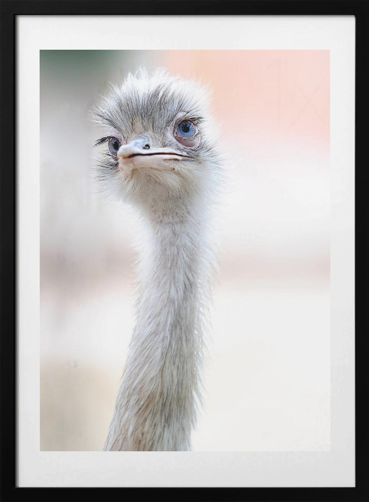 Natural Beauty - Art Print by Fulvio Pellegrini