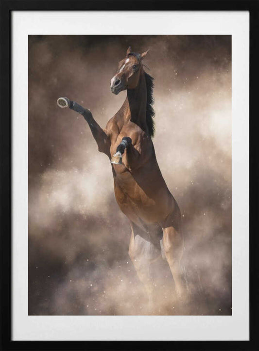 Temperament - Art Print by Ulrike Leinemann