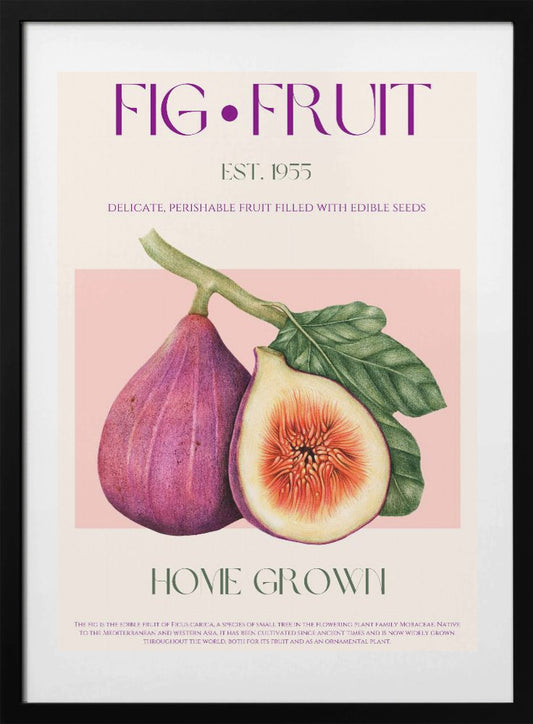 Vintage Fig Delight - Art Print by Nazma Khokhar
